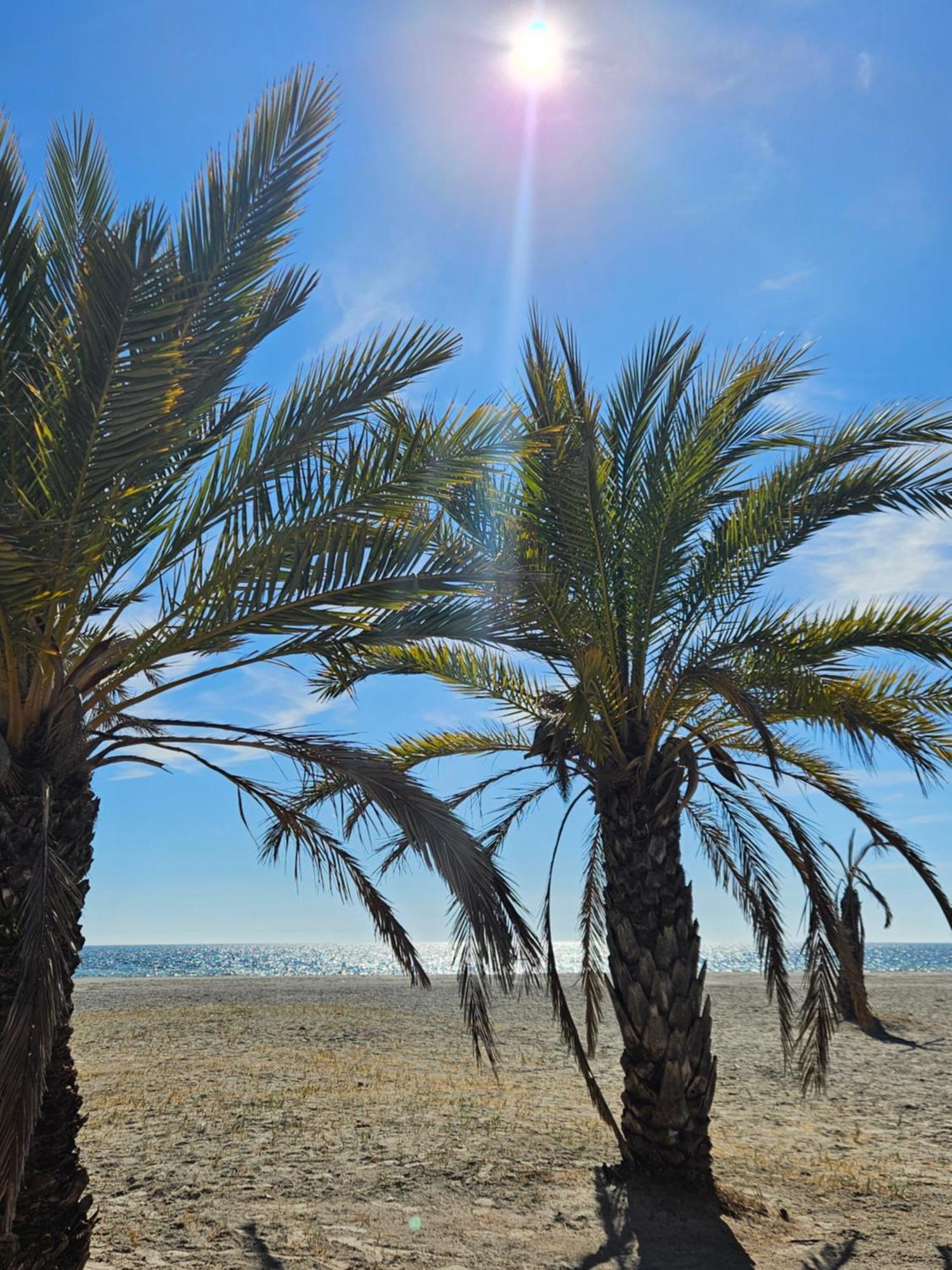 Appartamento Casa Blanca Santa Pola Esterno foto